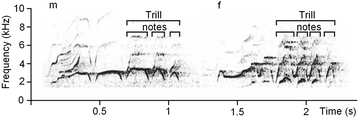 Fig. 5