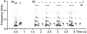 Fig. 7