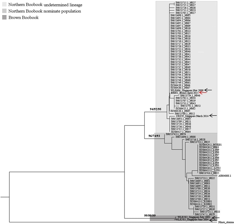 Fig. 2