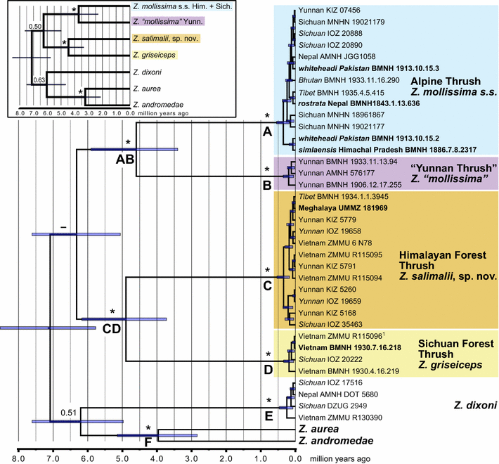 Fig. 14