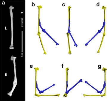 Fig. 4