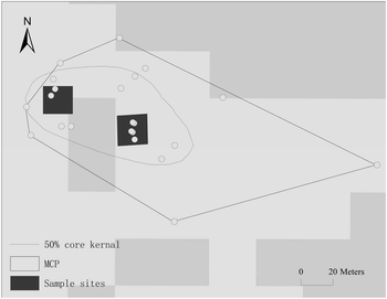 Fig. 1