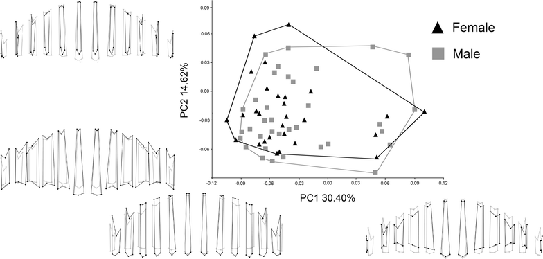 Fig. 2