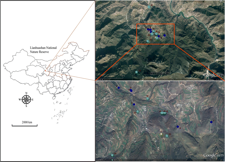 Fig. 1