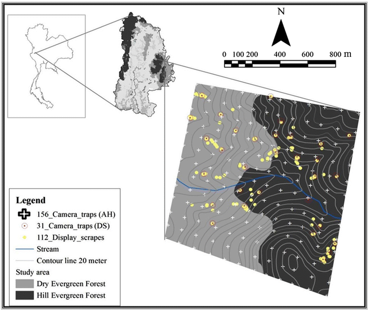 Fig. 1