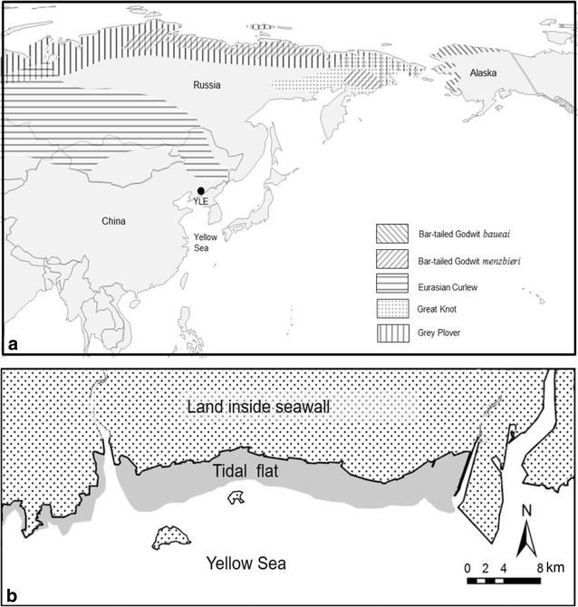 Fig. 1