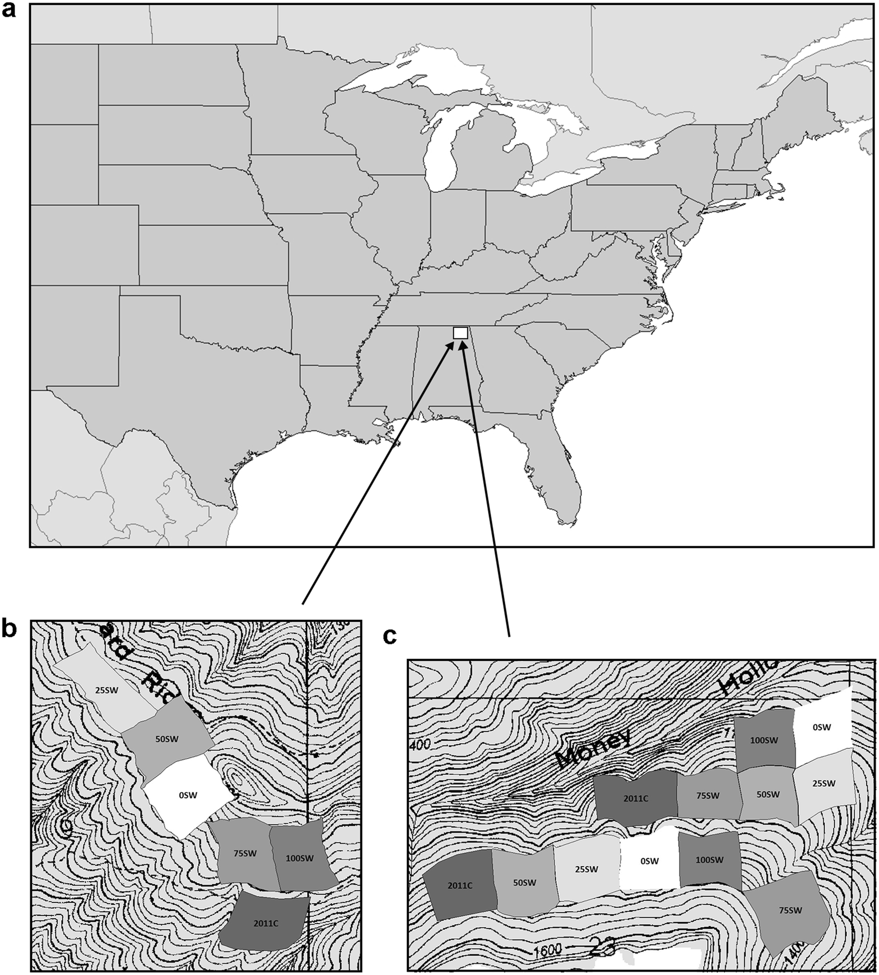 Fig. 1