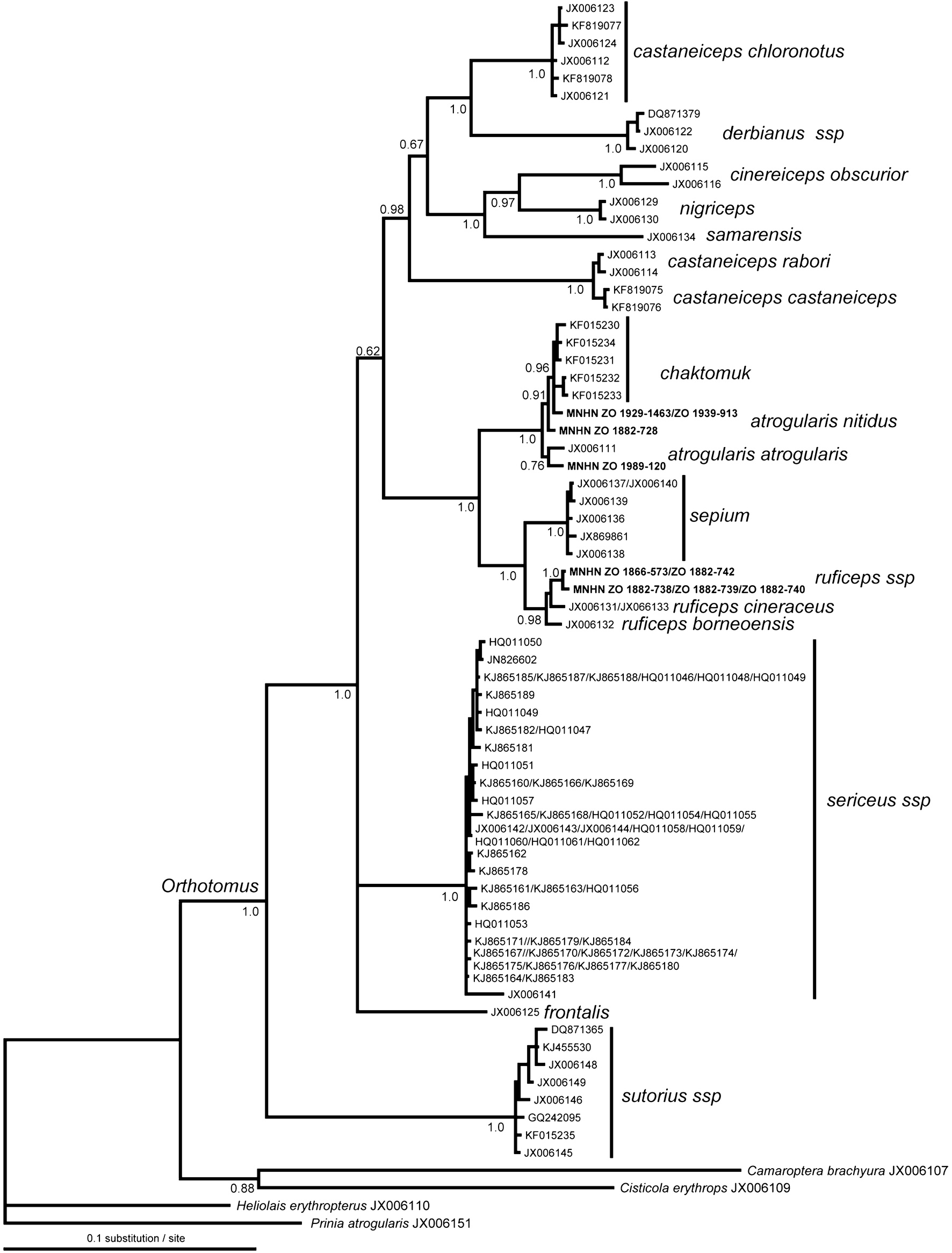 Fig. 2