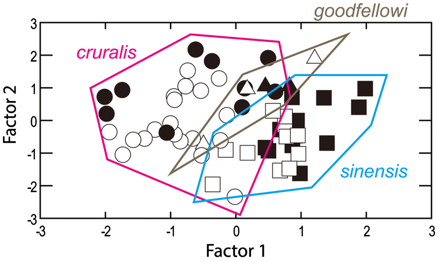 Fig. 3