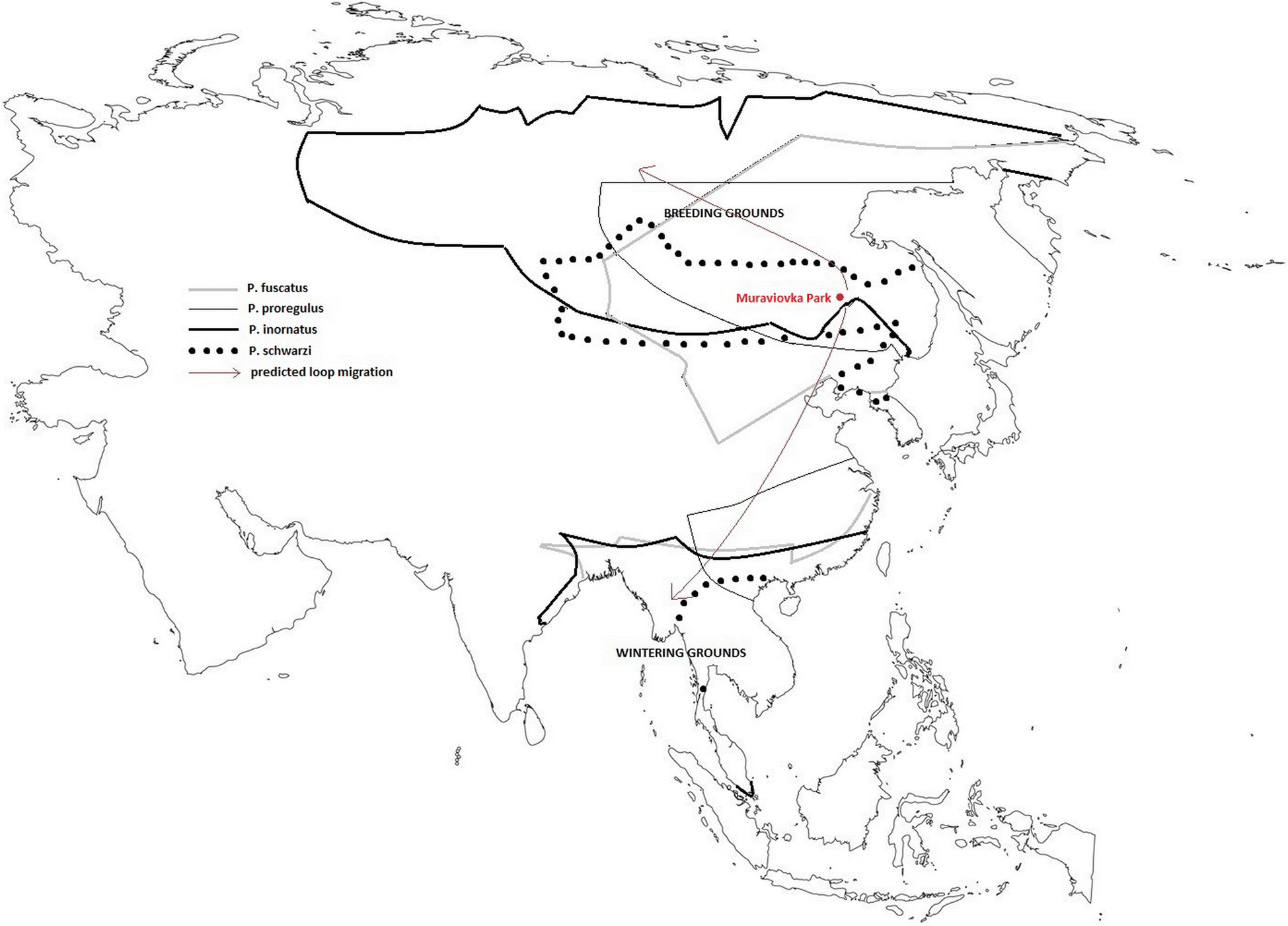 Fig. 2