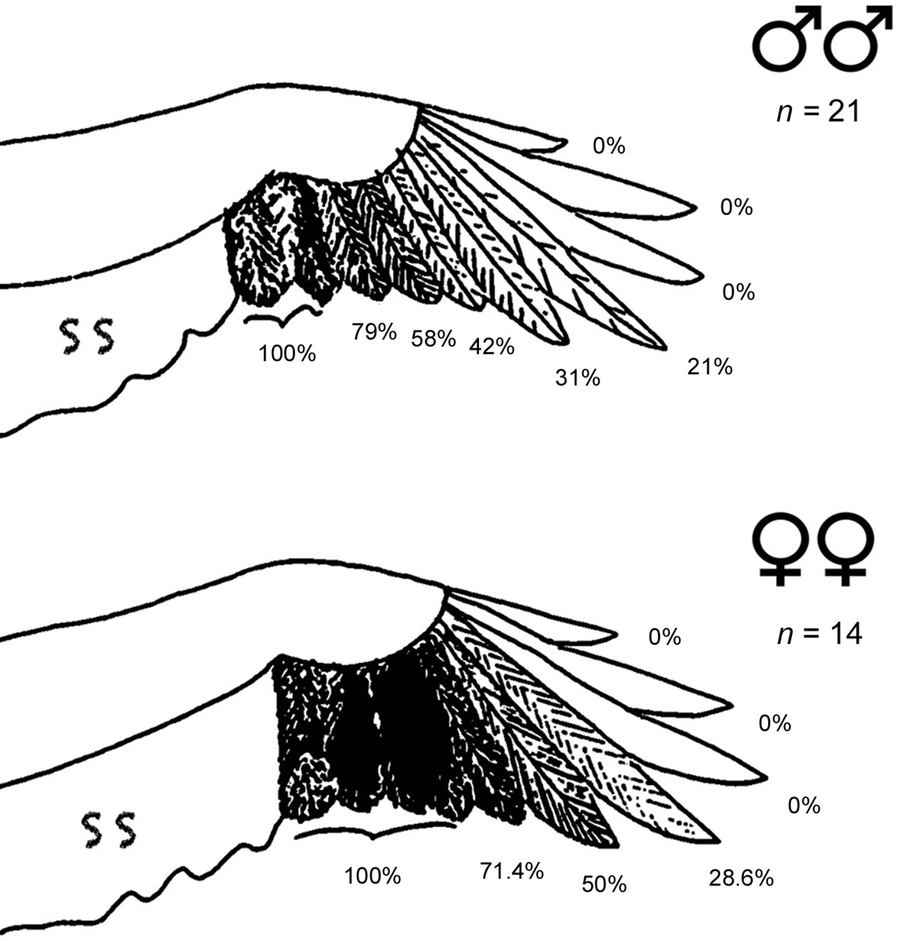 Fig. 3