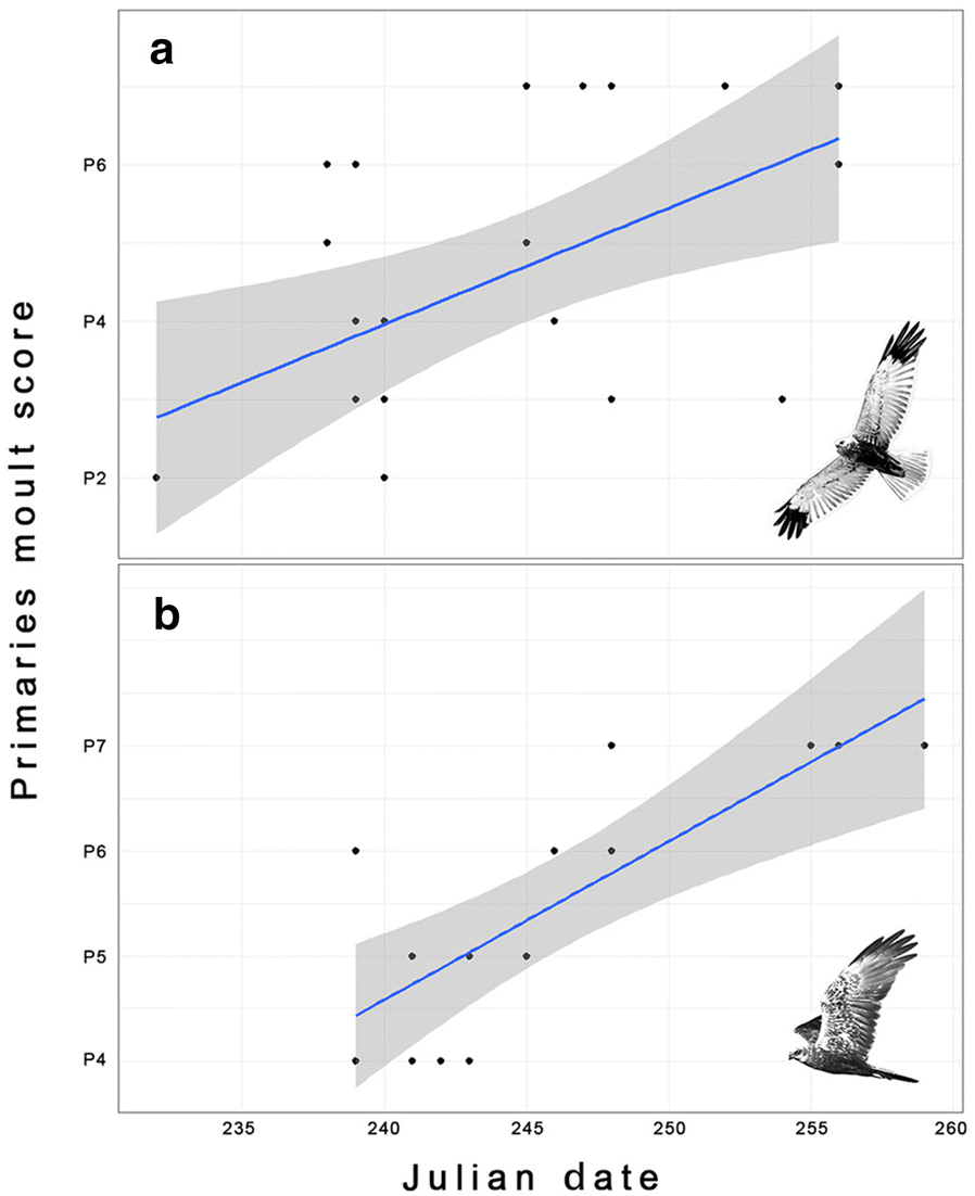 Fig. 4