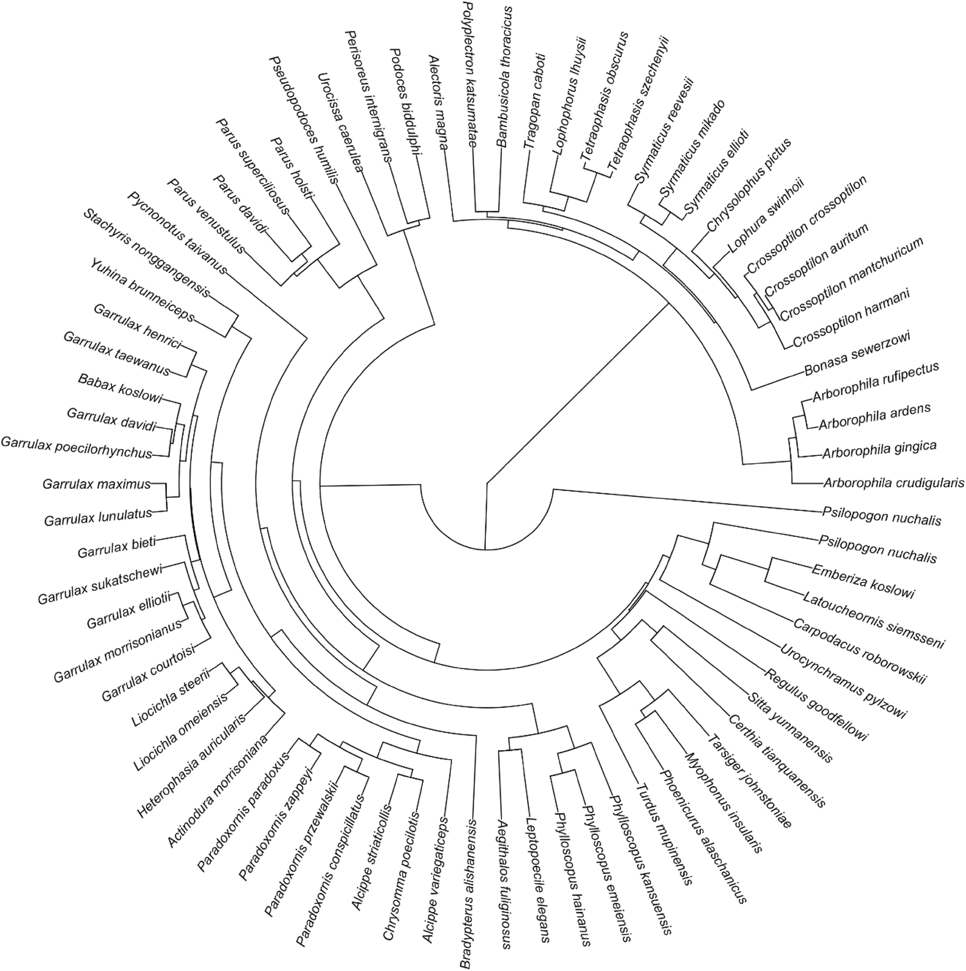 Fig. 1