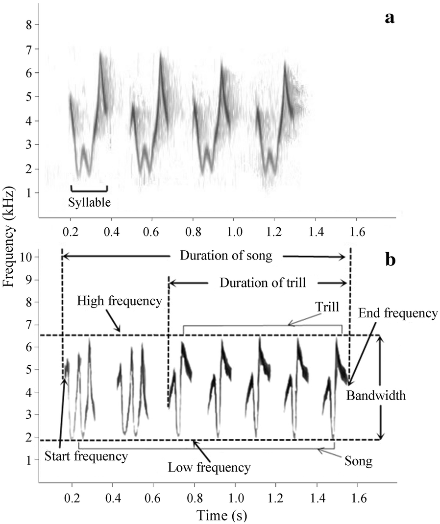 Fig. 1