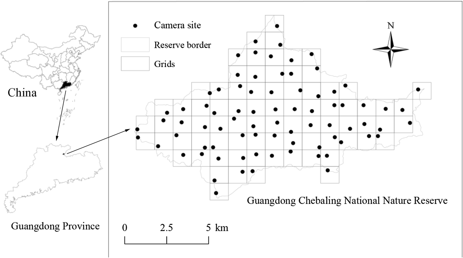 Fig. 1