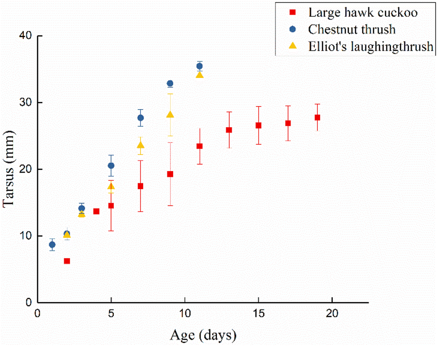 Fig. 3