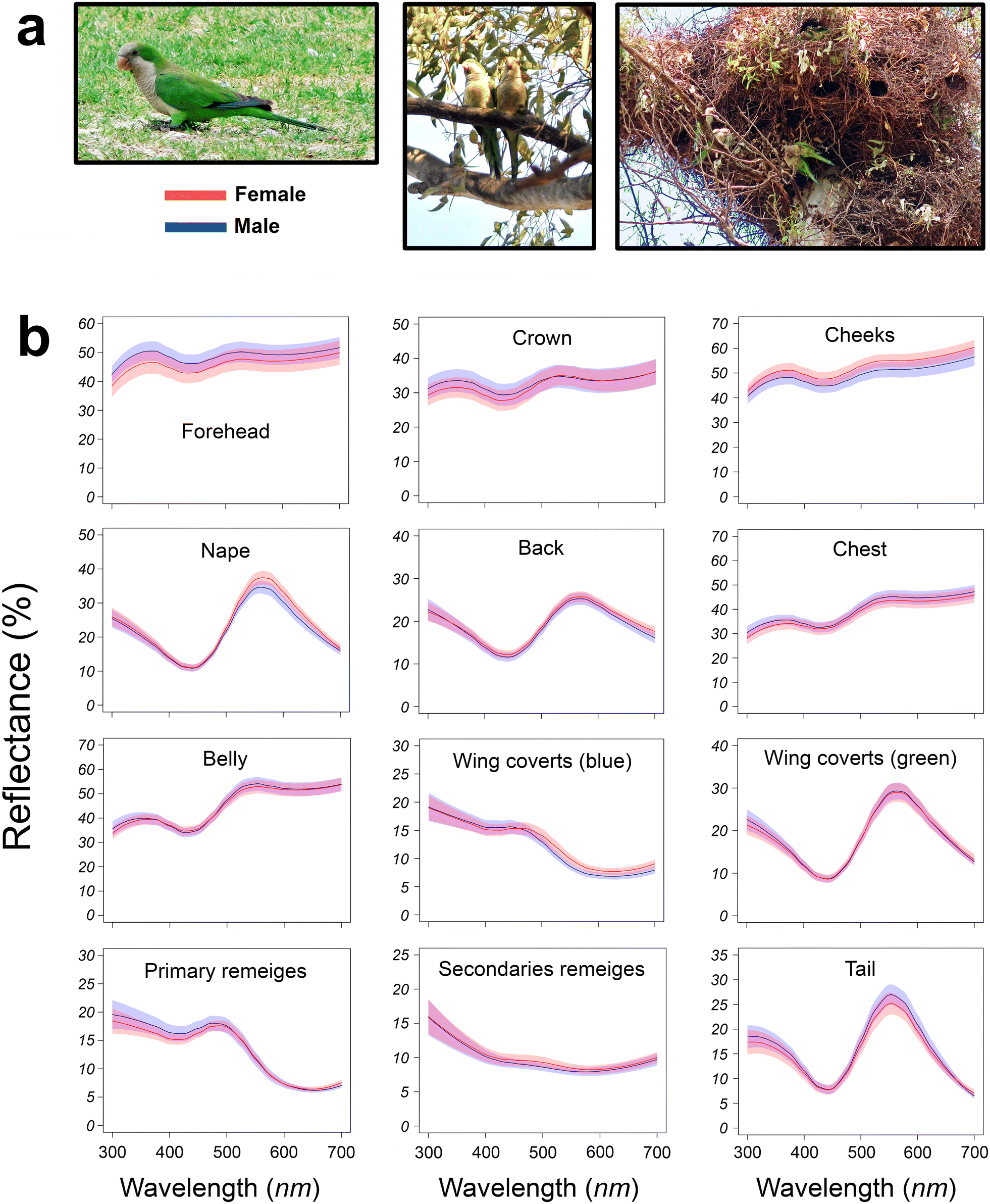 Fig. 1