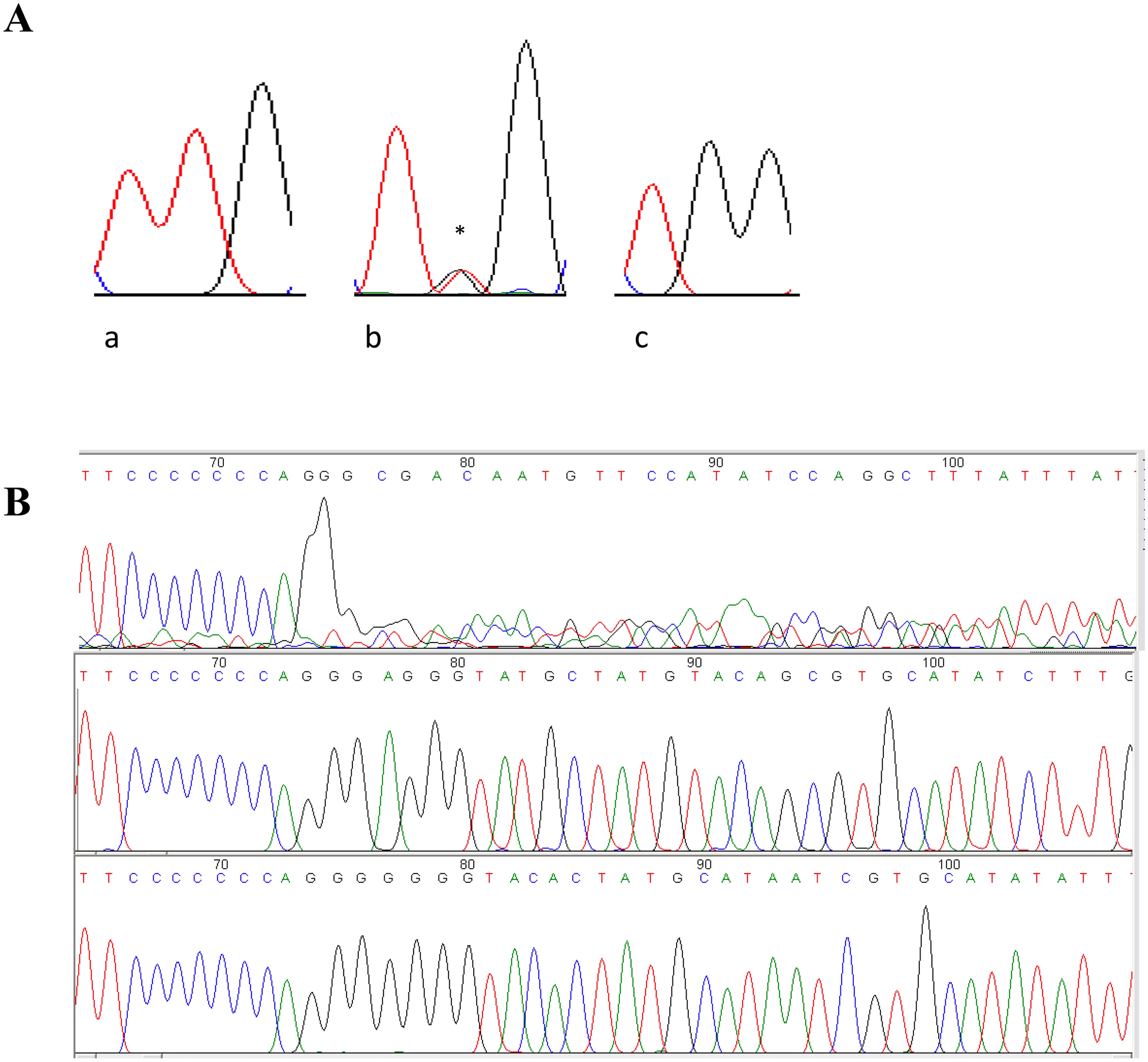 Fig. 1