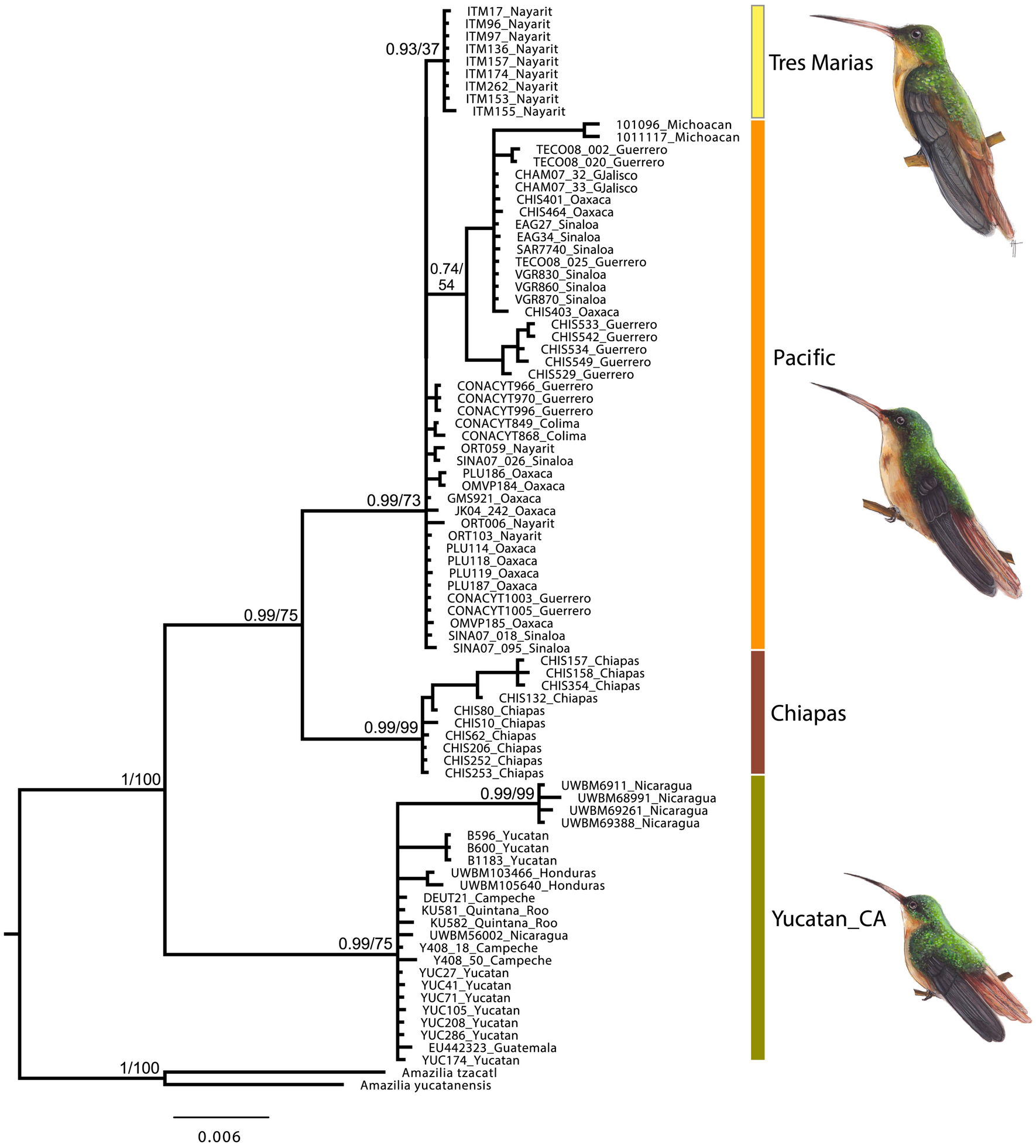 Fig. 2