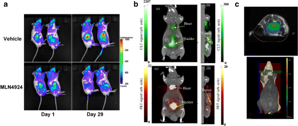 Fig. 10