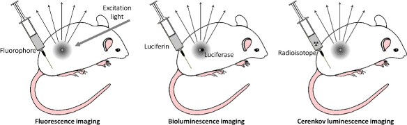 Fig. 9