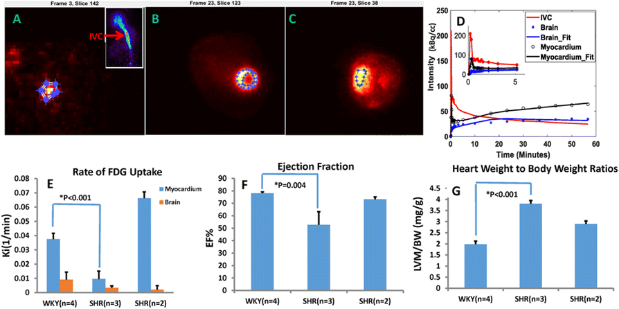 Fig. 1 (abstract A7).