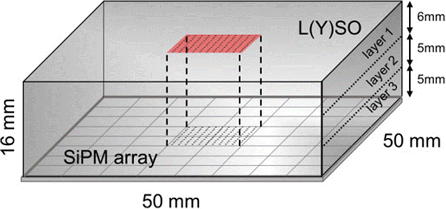 Fig. 1 (abstract A10).