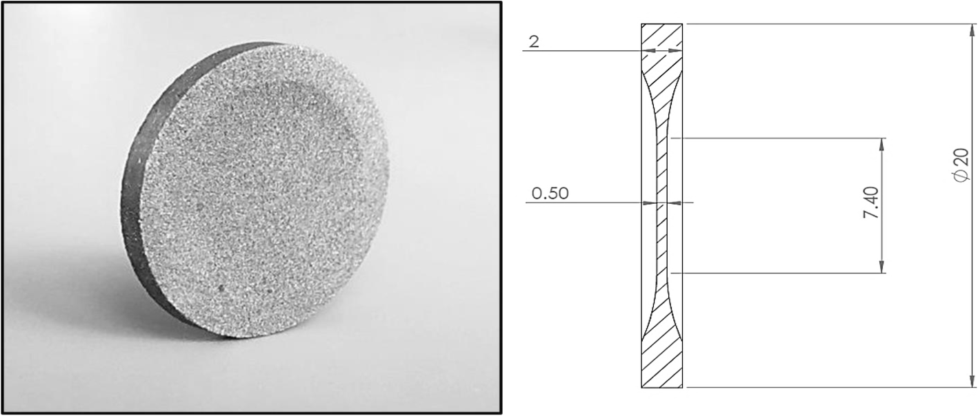 Fig. 1