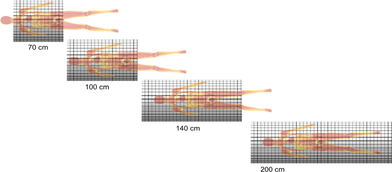 Fig. 8