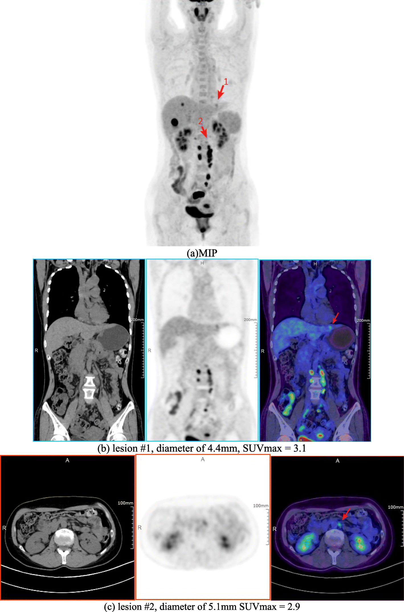 Fig. 6