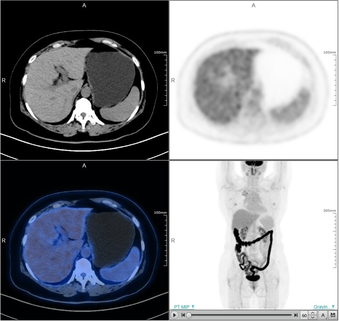 Fig. 7