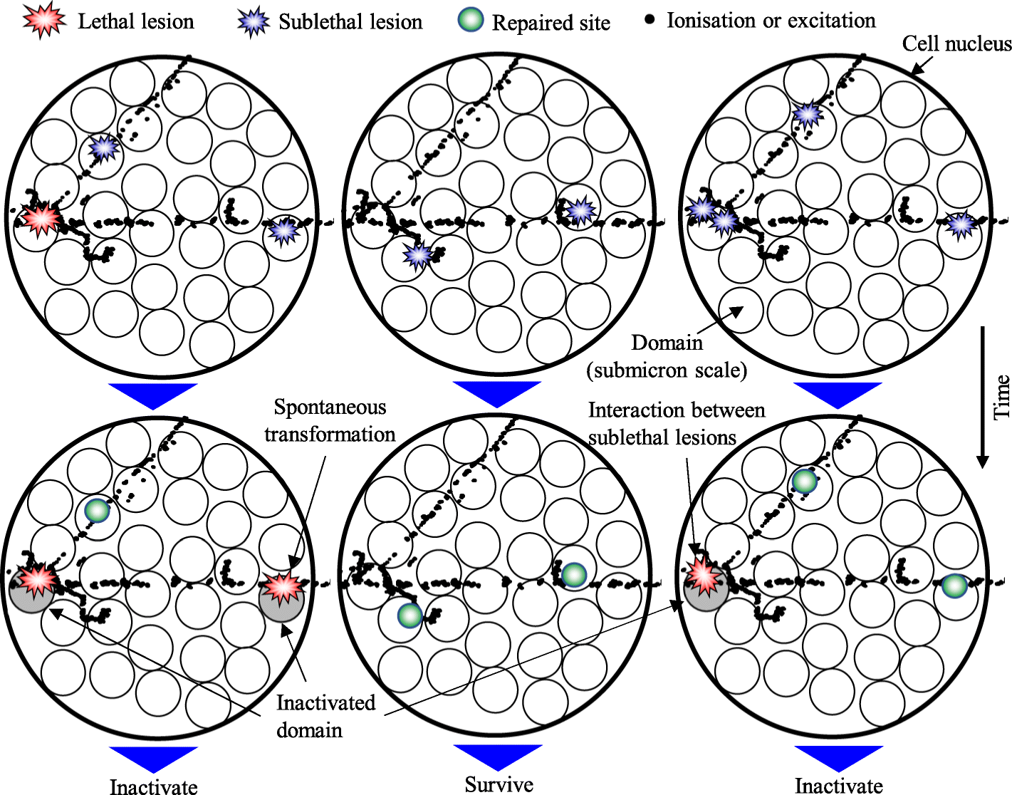 Fig. 9