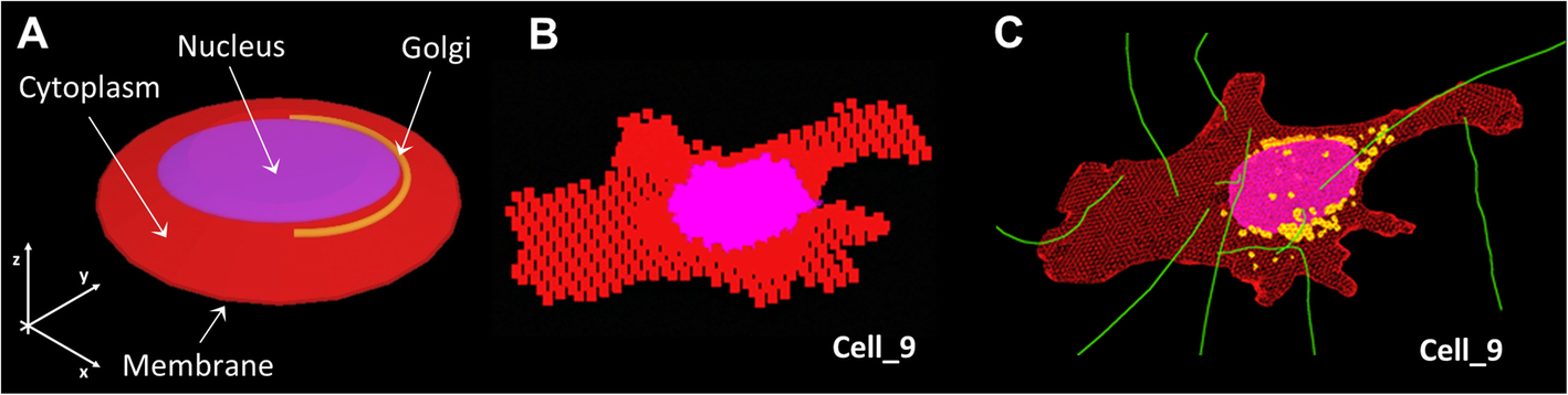 Fig. 1