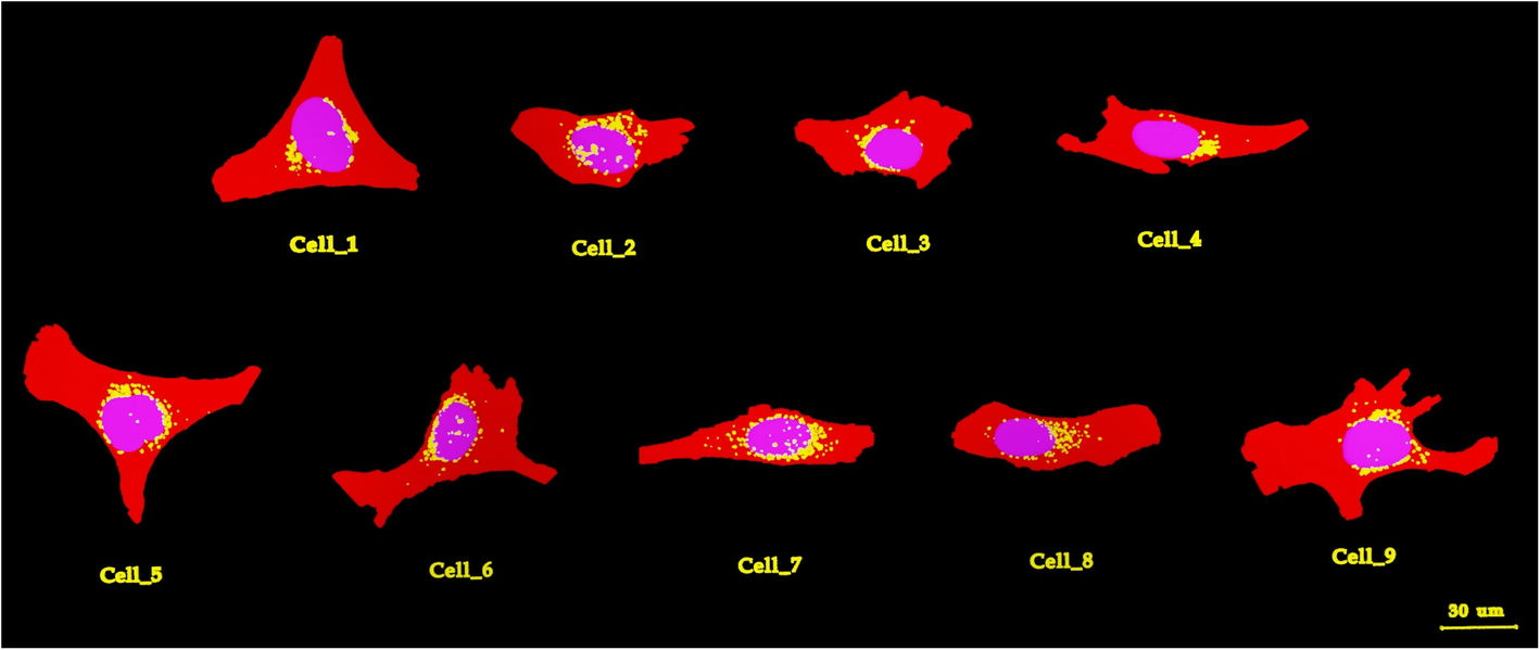 Fig. 2