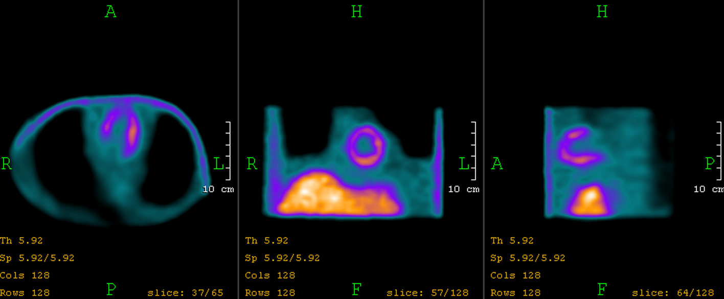 Fig. 8