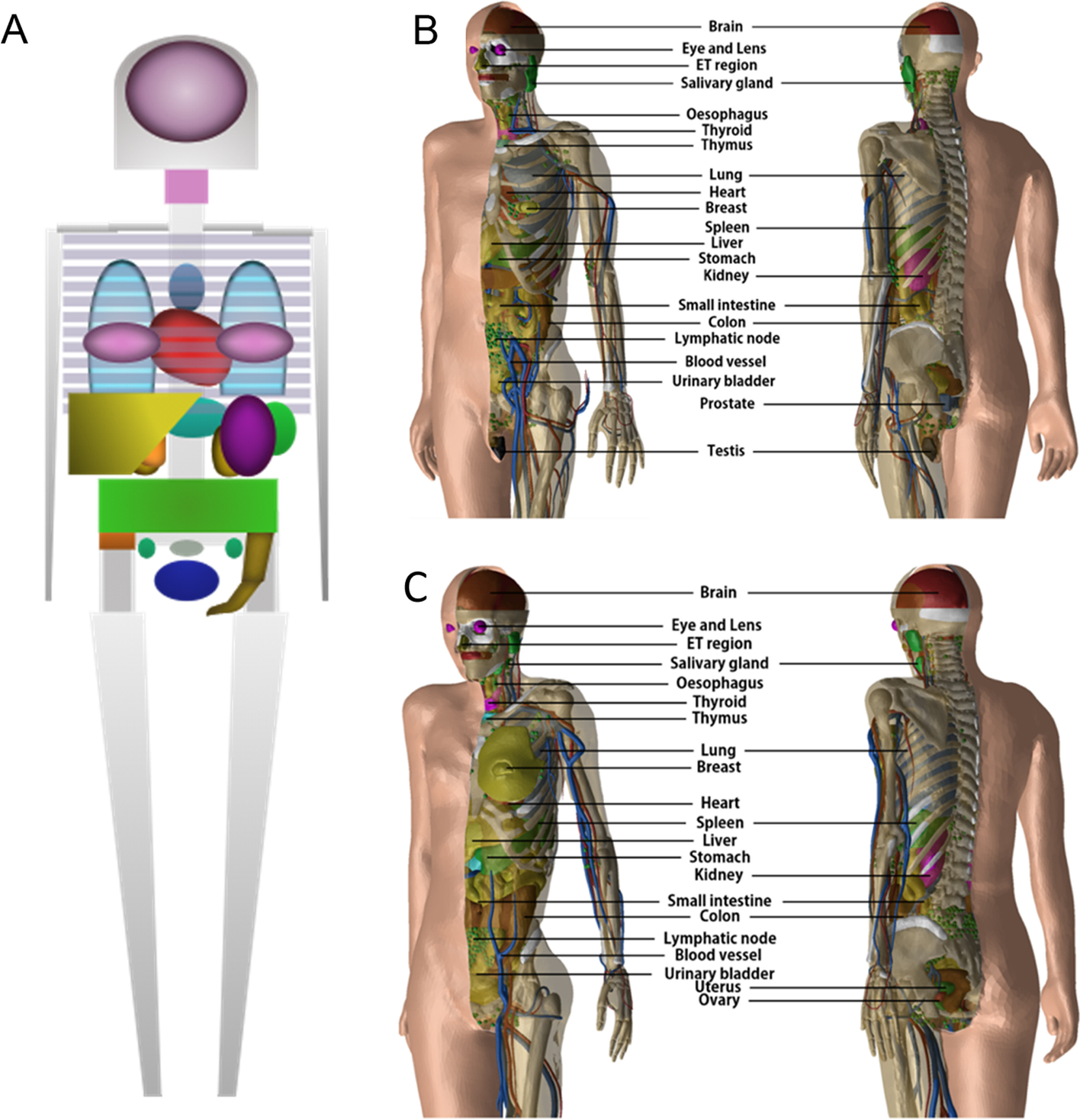 Fig. 7