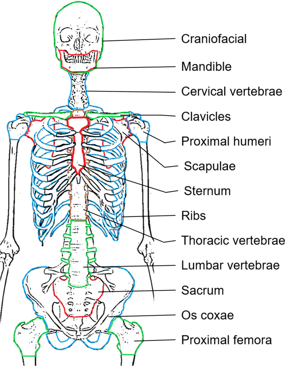 Fig. 2