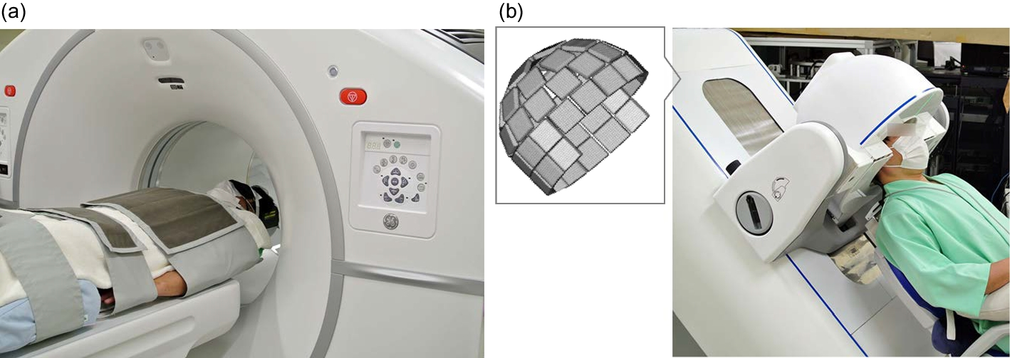 Fig. 1