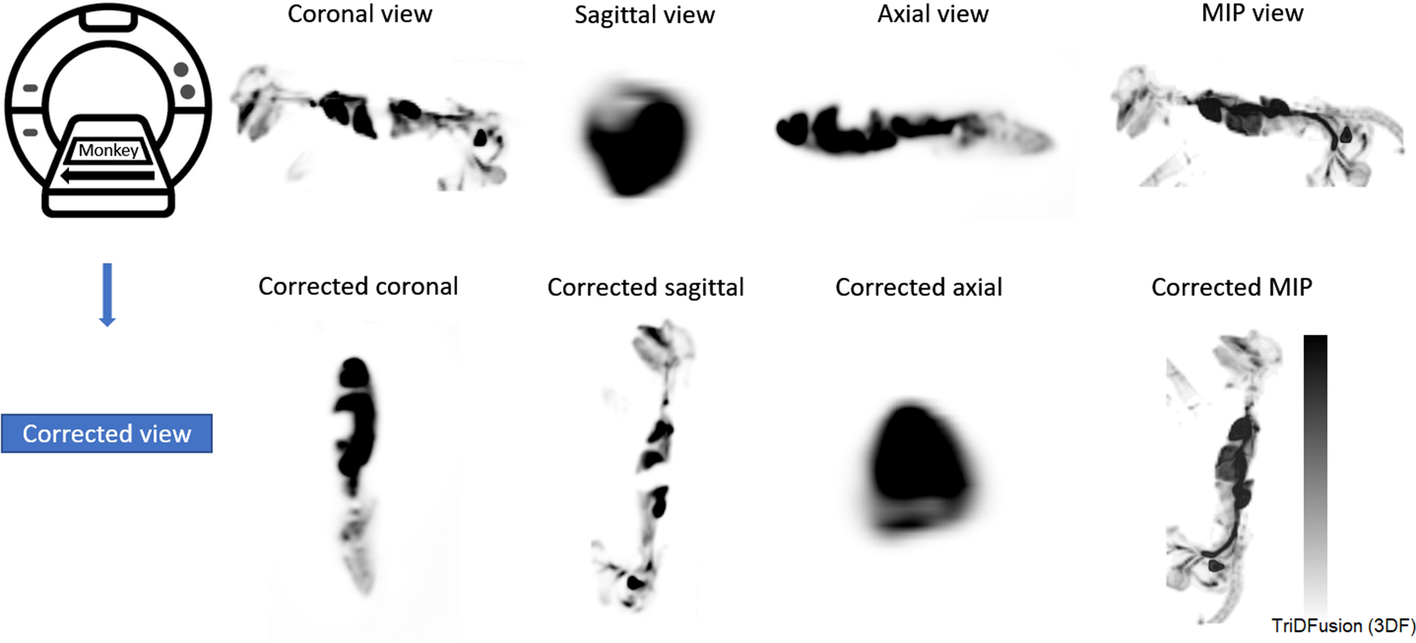 Fig. 7