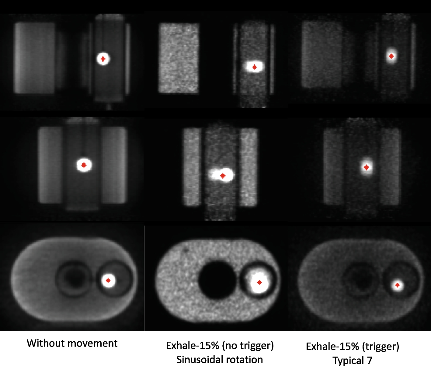 Fig. 17