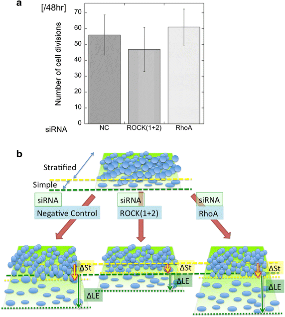 Fig. 6