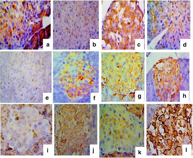 Fig. 7