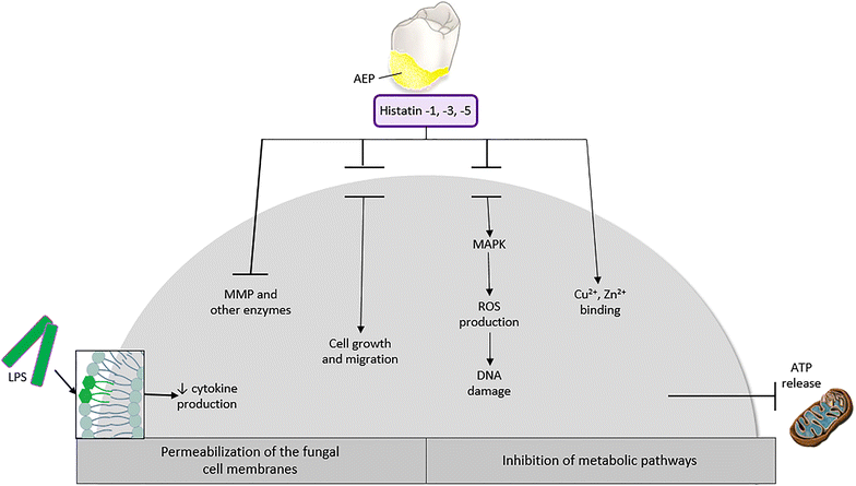 Fig. 2