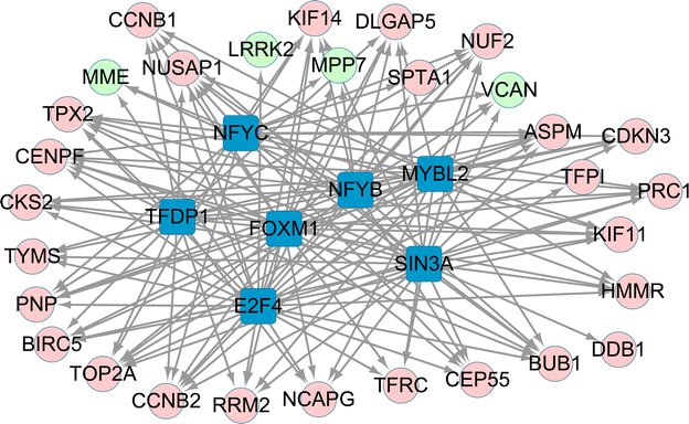 Fig. 4