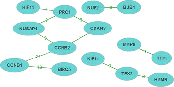 Fig. 5