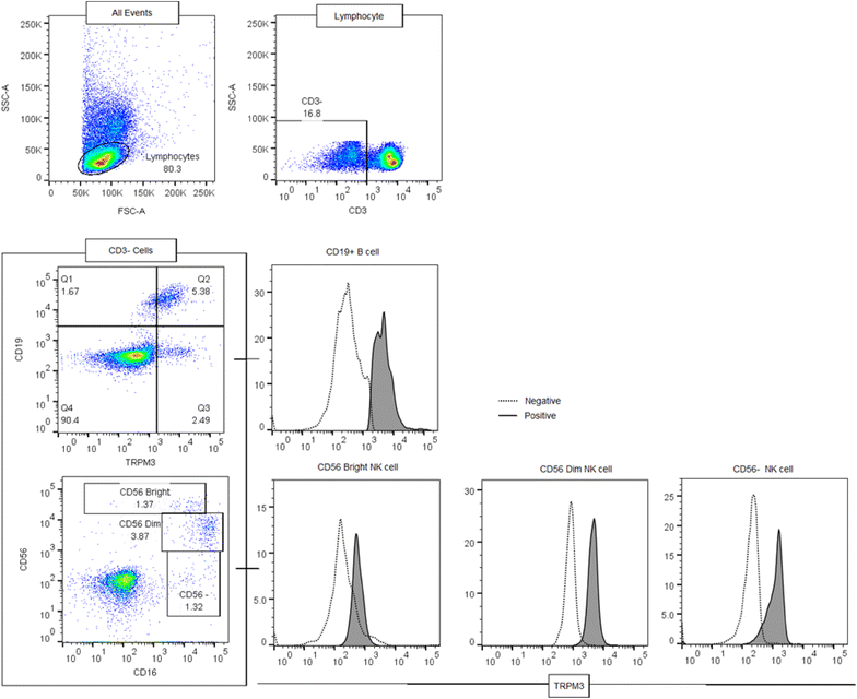 Fig. 1