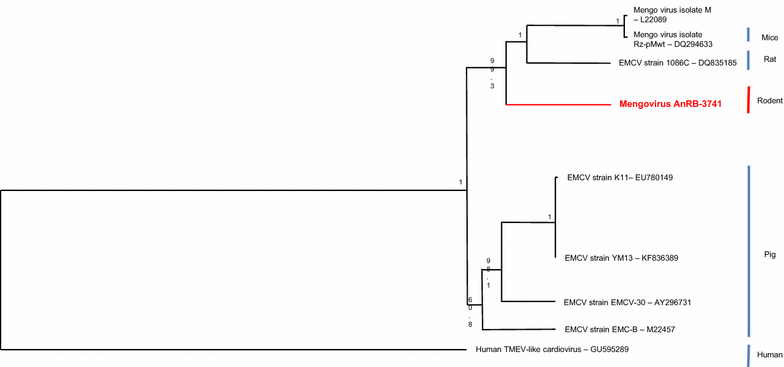 Fig. 2