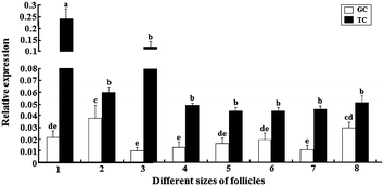 Fig. 4