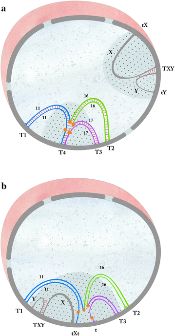 Fig. 2