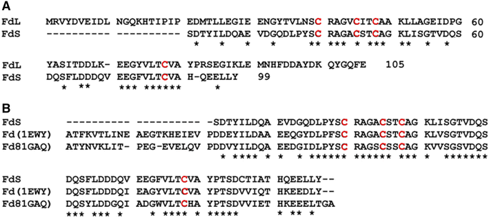 Fig. 5